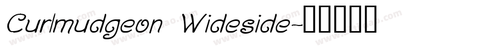 Curlmudgeon Wideside字体转换